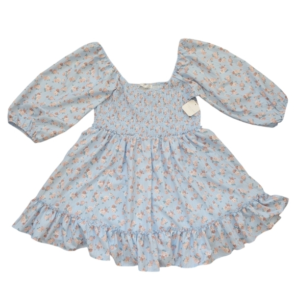 Altar'd State Dresses & Skirts - NWT Altar'd State Baby Doll Floral Mini Dress Women's Size XXL Lined Blue Floral